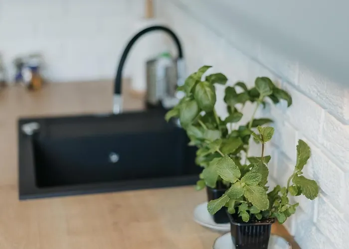 Connecta In Center With Ac アパート *