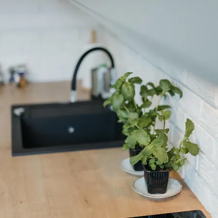 Connecta In Center With Ac Apartment *